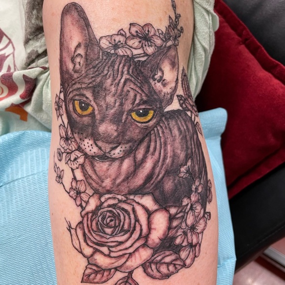 Meet your Posher, Lanora - Picture 6 of 7